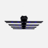 500W BLACK ARGUS EVO PRO LED von PROBUD®
